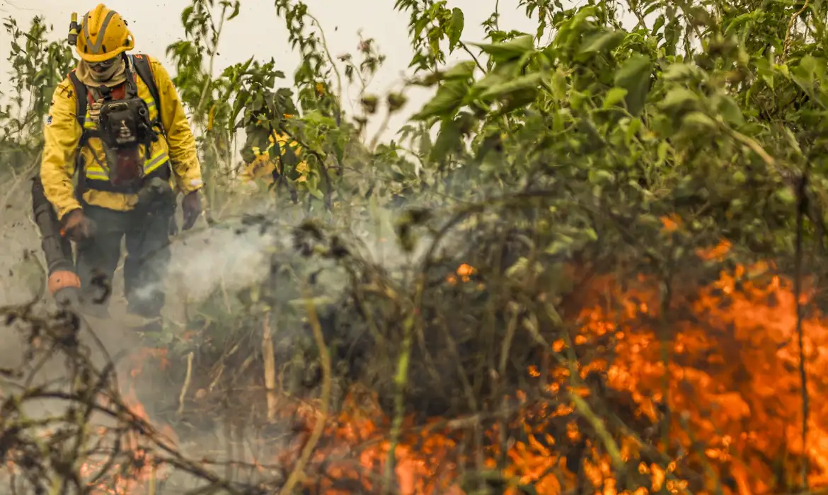 Queimadas: Metade dos maiores municípios do país não tem Secretaria de Meio Ambiente Queimadas: Metade dos maiores municípios do país não tem Secretaria de Meio Ambiente