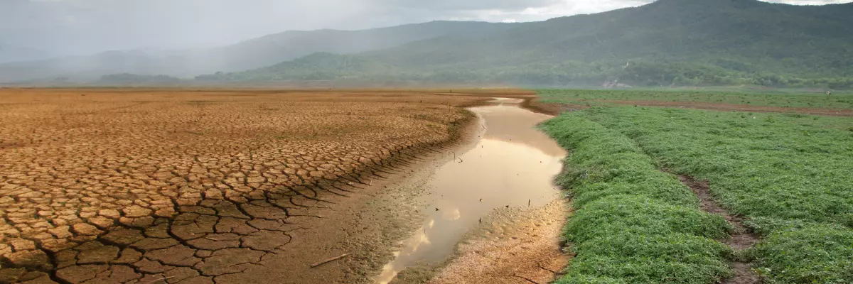 O colapso socioambiental alcança escala planetária O colapso socioambiental alcança escala planetária