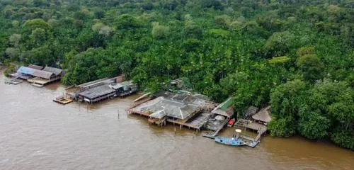 O futuro da Amazônia em disputa