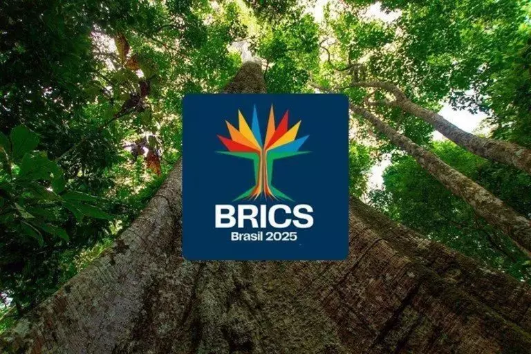 O governo Lula ficará aquém? Problemas no exercício da presidência do BRICS