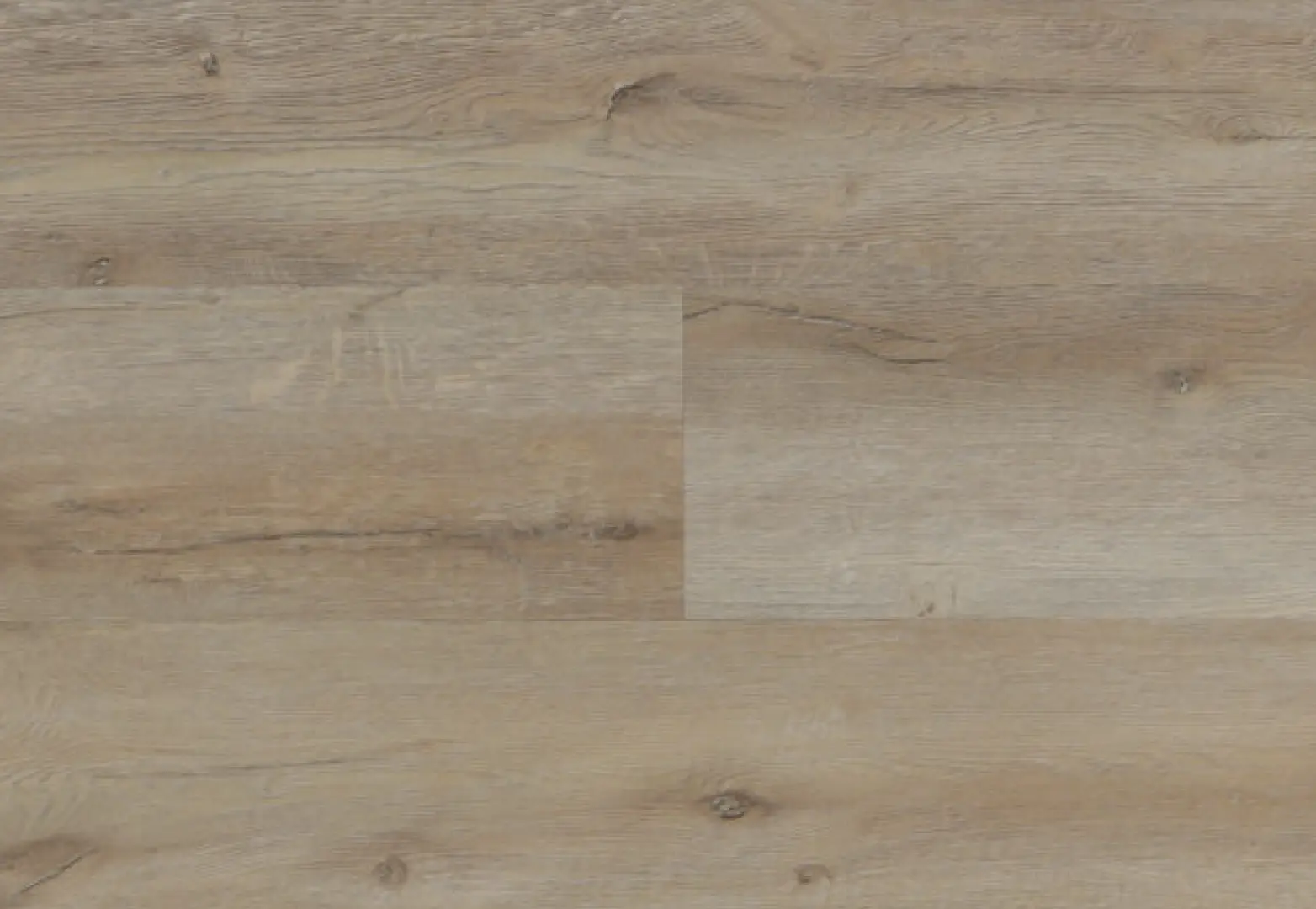 Dusty Trail - Image 9