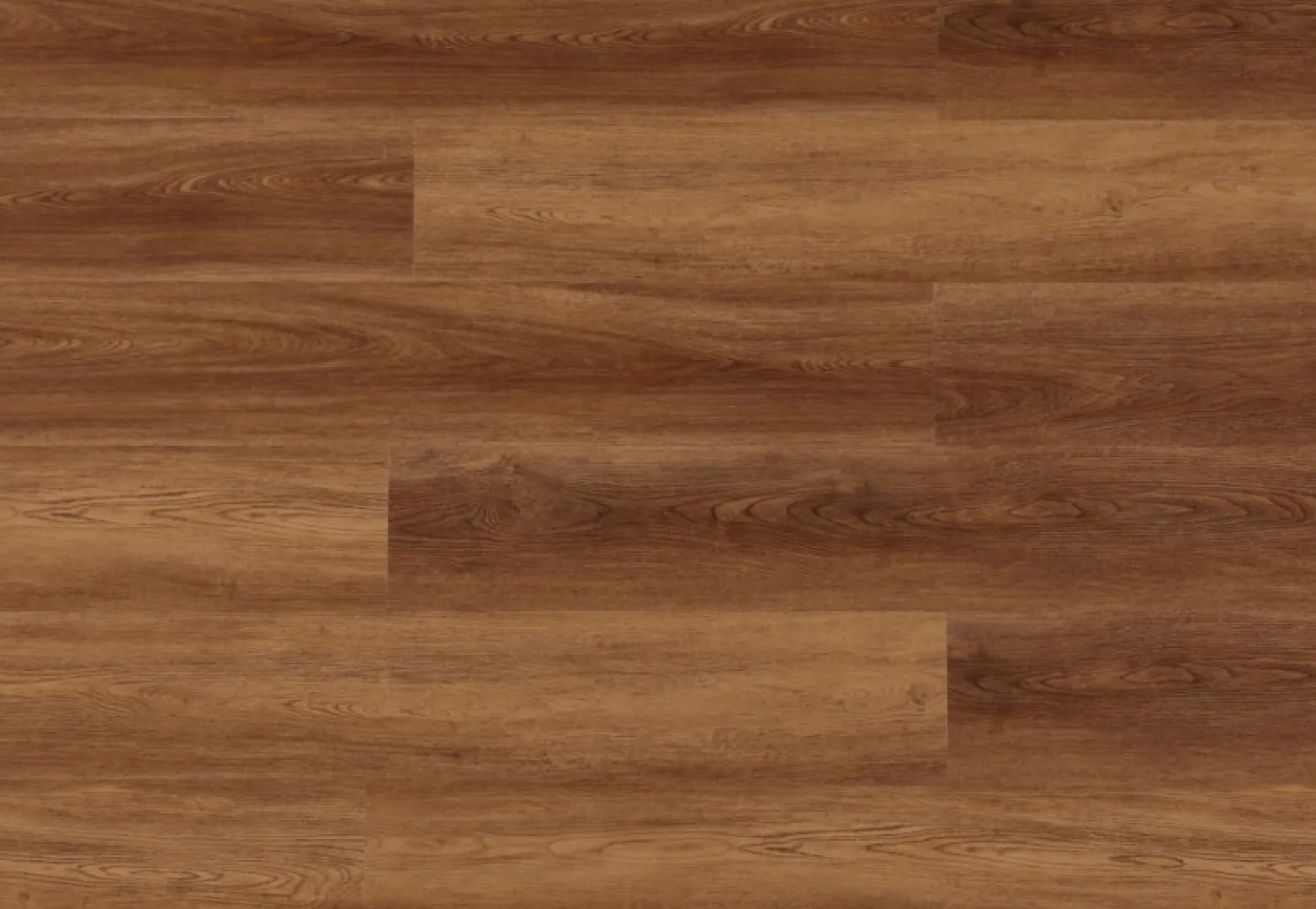 Golden Oak - Image 10