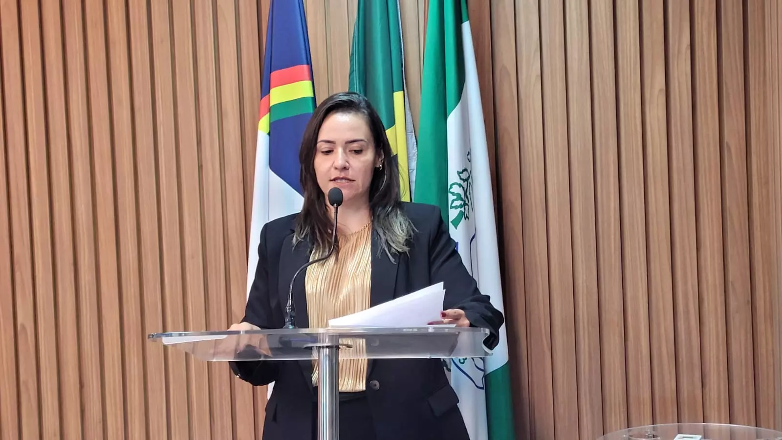 Vereadora Williane solicita a construção de um centro poliesportivo e a casa do artesanato em Ouricuri