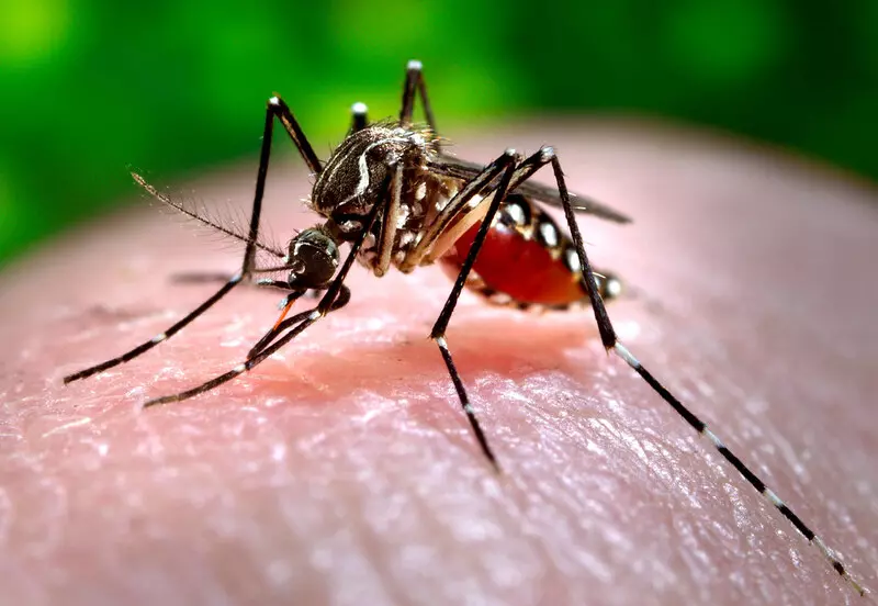 Marília confirma 22ª morte por Dengue no ano