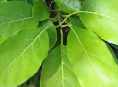 Sustentabilidade Digital: Como a Gestão Online Contribui para um Condomínio Mais Verde Sustentabilidade Digital: Como a Gestão Online Contribui para um Condomínio Mais Verde