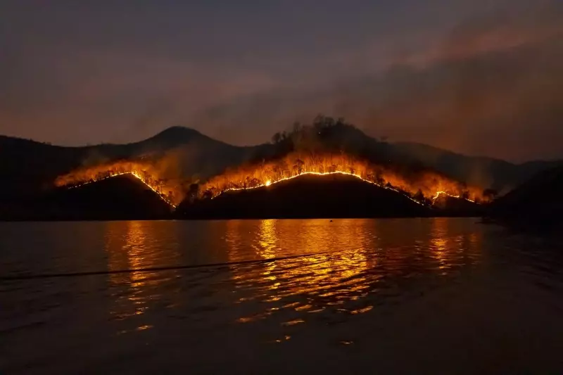 Debate sobre emergência climática e COP 30 marca o Dia Mundial do Meio Ambiente