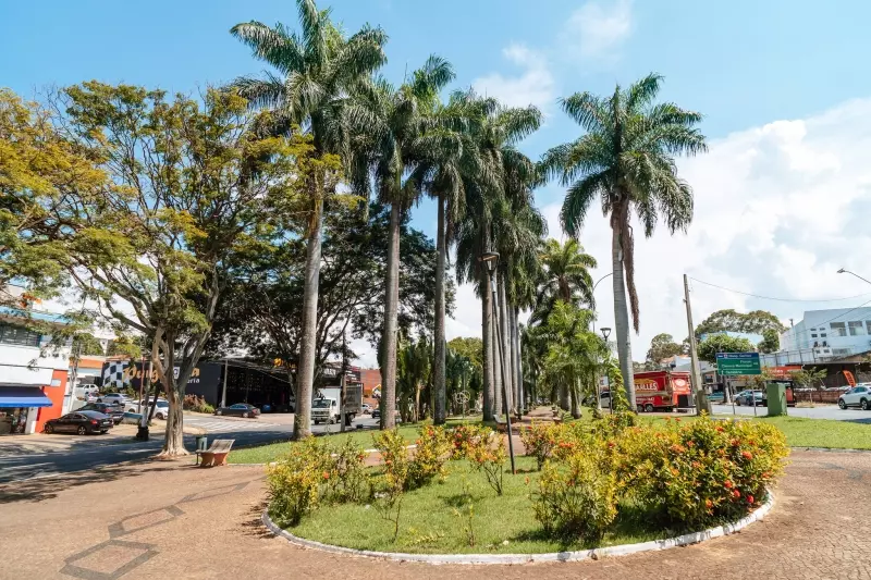 Cidade é destaque como a mais arborizada entre médias e grandes do Brasil.