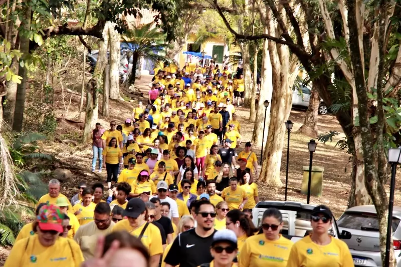 Caminhada Rota Vale Verde reúne 332 participantes com ação solidária
