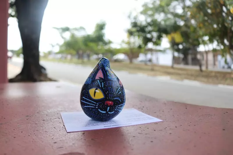 Museu Municipal recebe exposição de fotografia ‘Salvem nossos Figos’