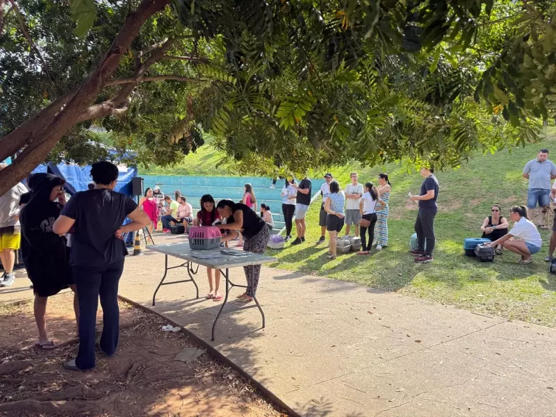 Mutirão de Castração atende 318 animais