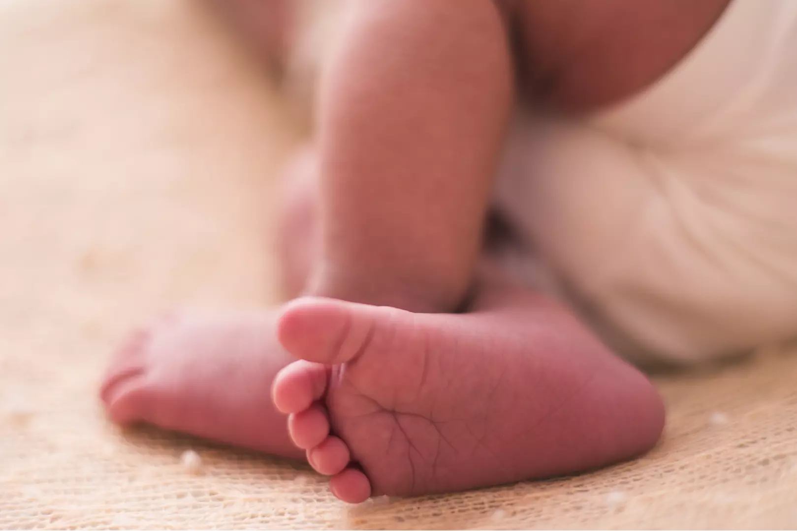 Newborn