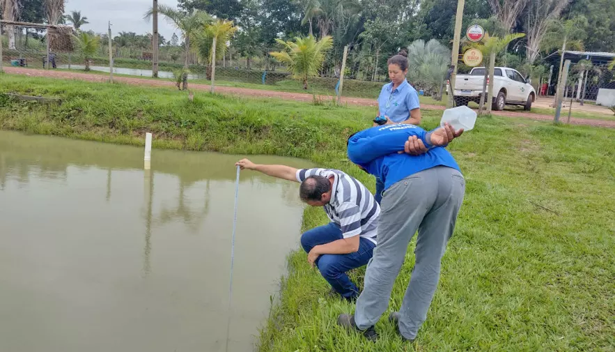 Governo do Tocantins e Embrapa impulsionam piscicultura familiar em Araguaína
