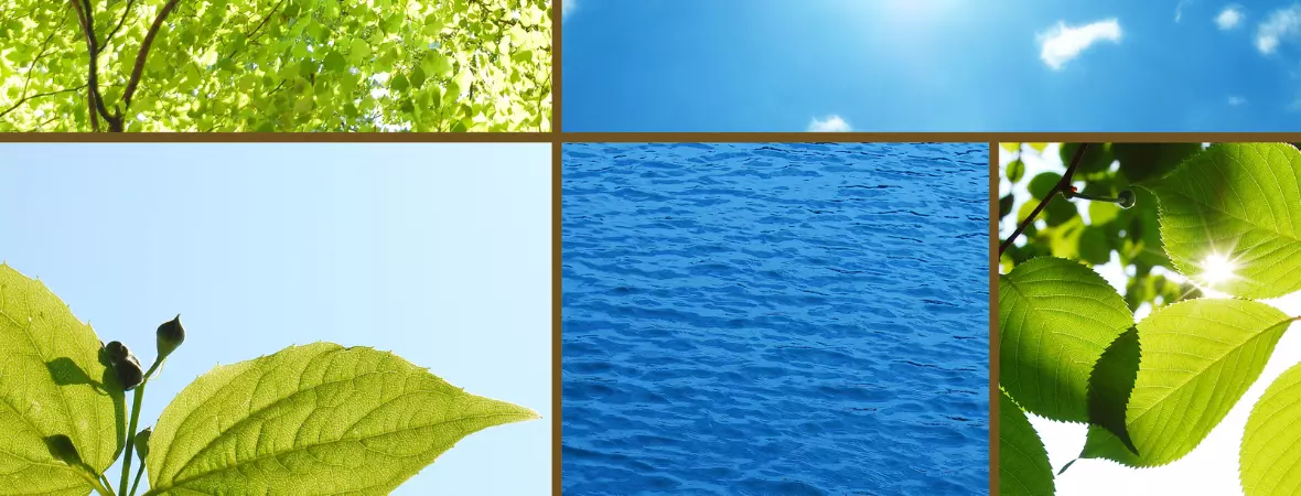 Licenciamento ambiental municipal Licenciamento ambiental municipal