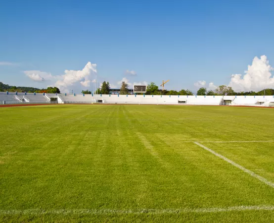 Arena SinttContas