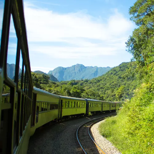 Imagem do passeio de enoturismo em São José dos Pinhais