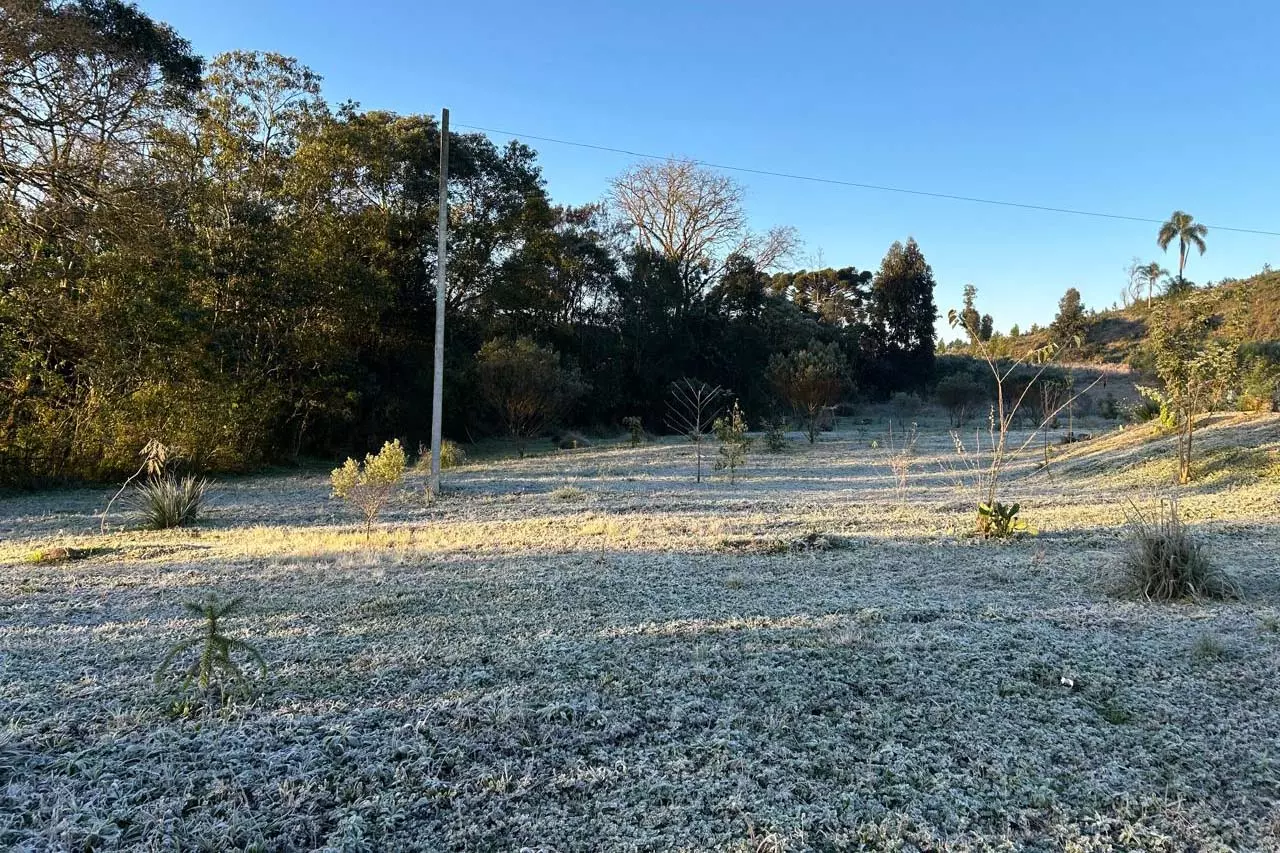 Primeira onda de frio do ano chega ao Paraná semana que vem com termômetros perto de 0ºC. AEN /Foto:Ana Tigrinho