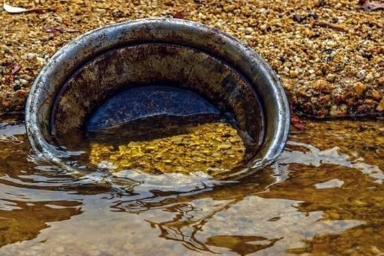 Garimpo em Reserva Legal terá ganhos ambientais, defendem mineradores; ambientalistas veem prejuízos