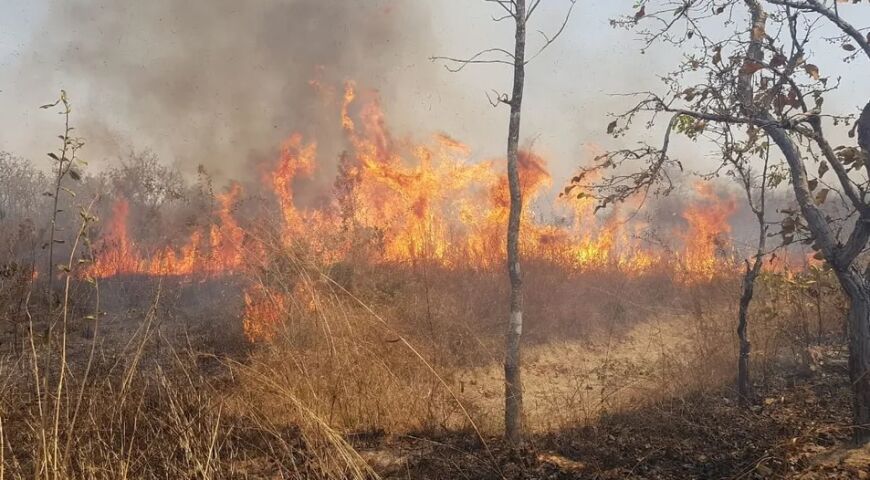 Fazendeiros vão pagar R$ 190 mil por incêndio em 383 hectares de área protegida em Chapada