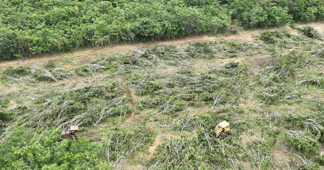 Com drones, Sema e PM flagram desmatamento ilegal em Serra Nova Dourada