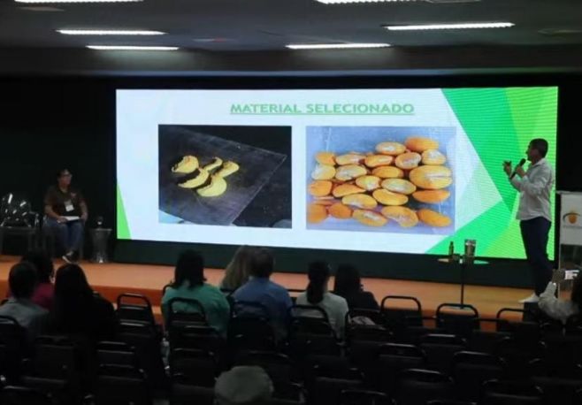 Na FEAFTUR 2024 agricultores familiares apresentam pequi sem espinho produzido em viveiro e queijos para intolerantes à lactose