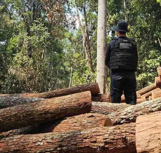 Seis pessoas são presas em flagrante com madeira ilegal em Comodoro