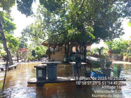 Chuvas alagam 80% das residências em aldeia em Luciara; imagens
