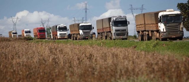 Safra recorde de soja vai impactar custo do frete a partir de fevereiro