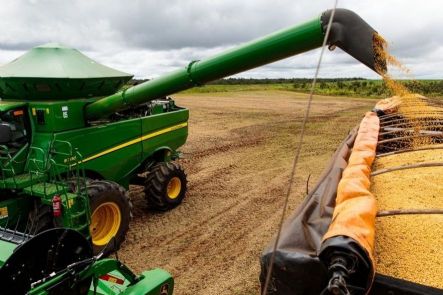 Região de Querência, Canarana e Água Boa se torna a segunda maior produtora de grãos de Mato Grosso