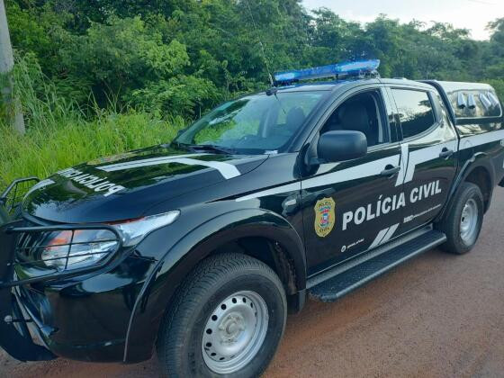Irmãos matam cachorro enforcado em árvore em MT