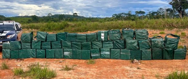 Aumento de 104% nas apreensões de drogas em quatro meses do Programa Tolerância Zero é destaque no Bom Dia Brasil