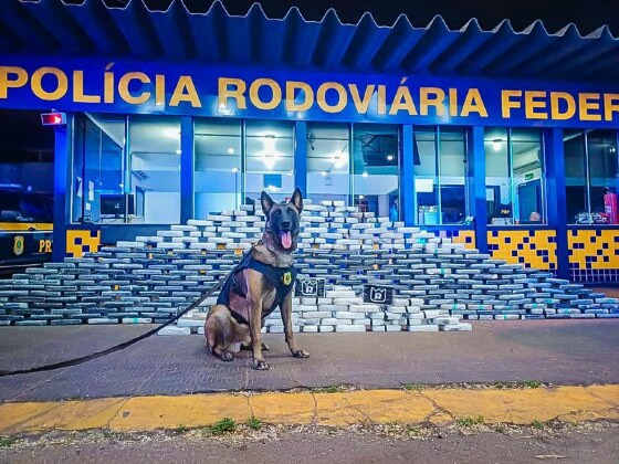 PRF apreende 400 kg de cocaína em compartimento secreto de caminhão