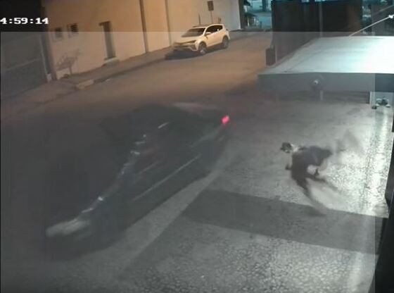 Vigilante filmado atropelando flanelinha de propósito será julgado em julho