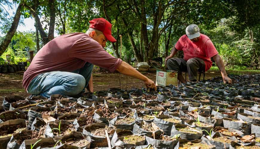 SEAF apoia pesquisa internacional sobre fungo que causa doença em trabalhadores rurais