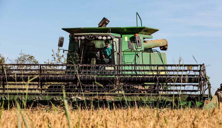 Mato Grosso lidera produção nacional de arroz de sequeiro, aponta Anuário Brasileiro do Arroz 2025