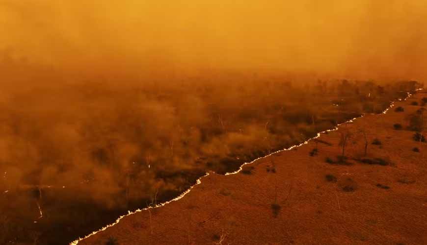 Deputados aprovam 'Estatuto do Pantanal' para evitar destruição do bioma que já perdeu 40% de cobertura vegetal em MT