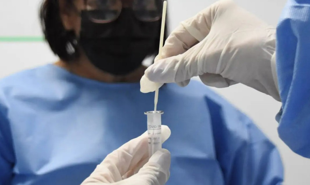 Covid-19: nova variante da 