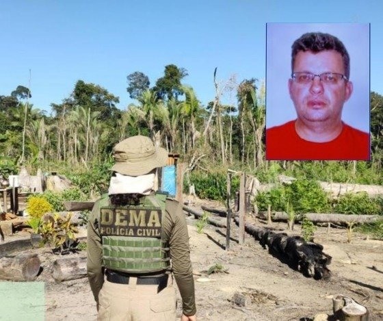 Pecuarista é condenado por desmatar quase 4 mil hectares em área alagável do Pantanal