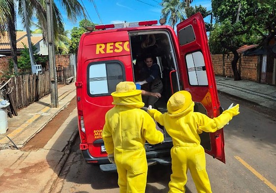 Homem é atacado por enxame de abelhas em Mato Grosso