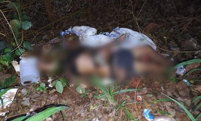 Imagem SlidePrincipal