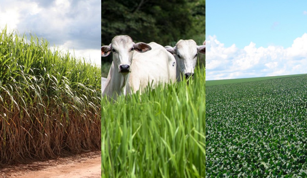 Mapeamento revela transformação na agropecuária brasileira em 40 anos