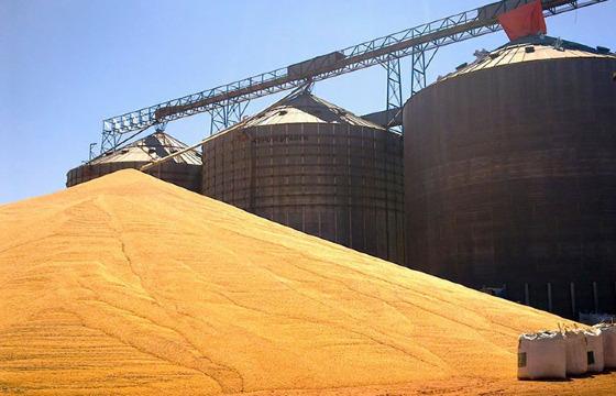 Esmagamento de soja cai 11,44% em Mato Grosso