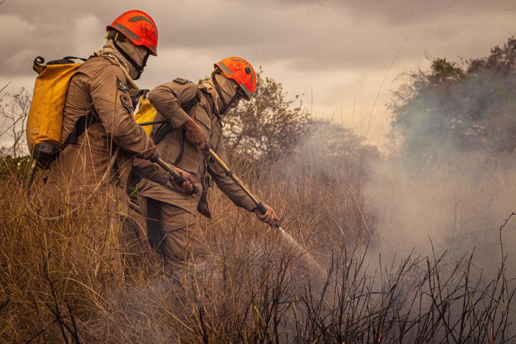 Governo de MT lança Plano de Ação de Combate ao Desmatamento Ilegal e Incêndios Florestais nesta quinta-feira (27)