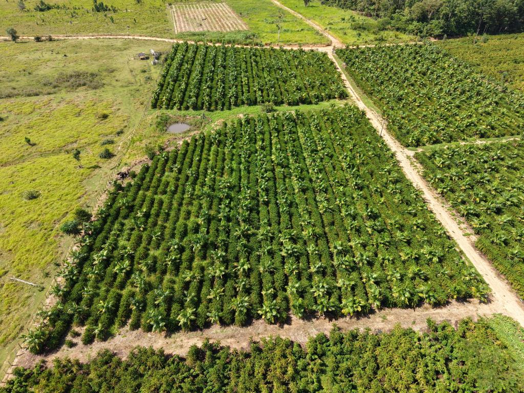 Imagem SlidePrincipal