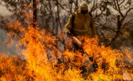 Decreto de Trump suspende parceria EUA-Brasil financiado pela USAID para combate a incêndios florestais