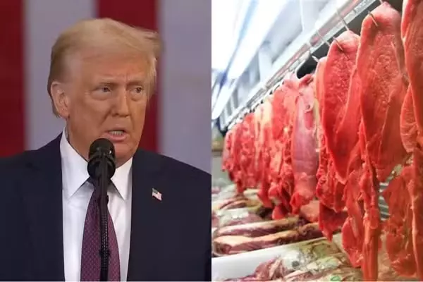 Tarifaço de Trump pode causar prejuízo milionário no PIB de RO; veja quais produtos serão taxados