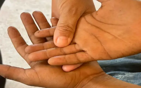 Menino de 11 anos é obrigado a trabalhar para ter ‘cama e comida’ em fazenda após ser abandonado pela mãe, diz MP