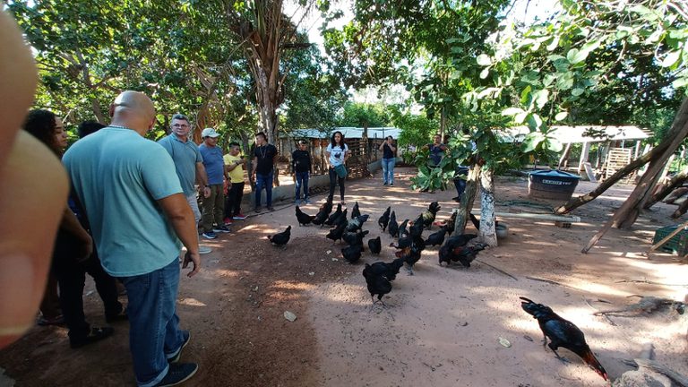Indígenas Ianomami buscam soluções na Embrapa para segurança alimentar