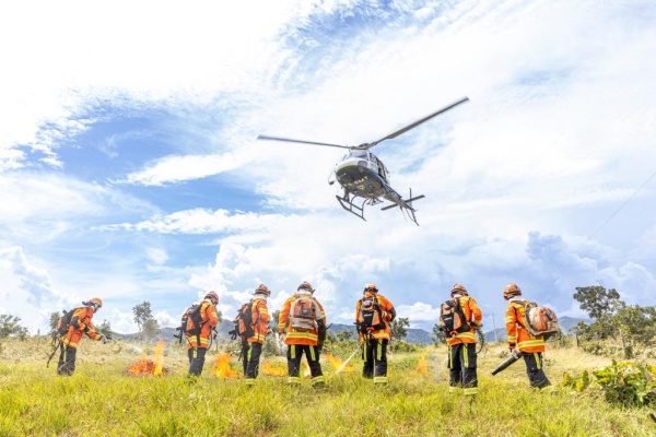 ForestFire apresenta programação com especialistas de 10 países e feira de tecnologias