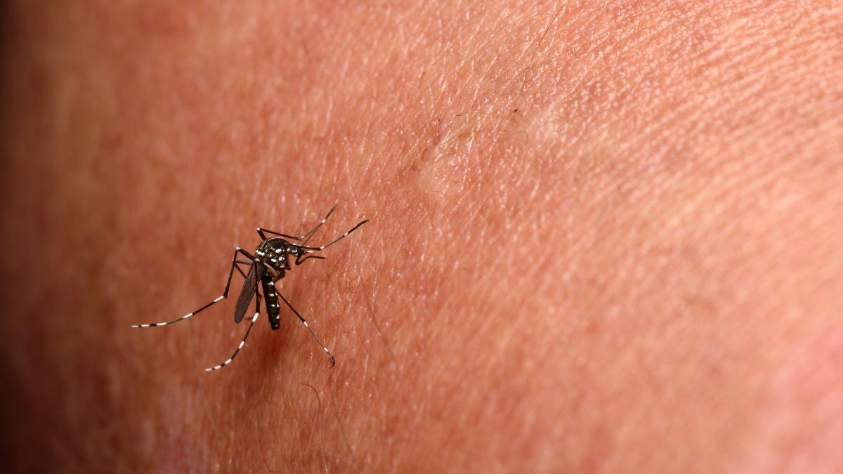 Jaguaré decreta situação de emergência para combater chikungunya