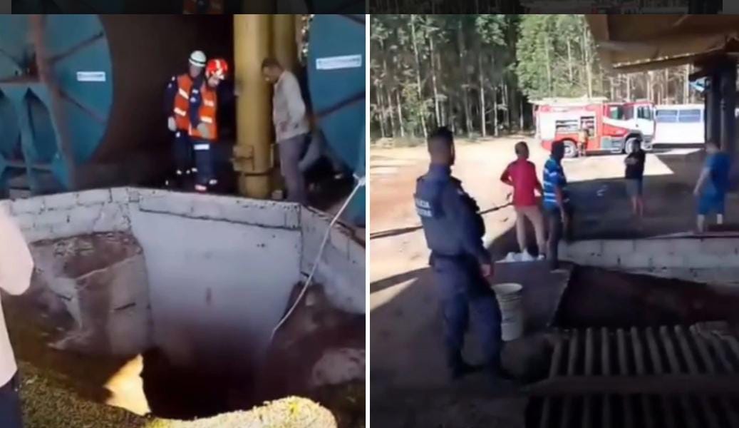 Trabalhador morre após ser “engolido” por secador de café em São Mateus